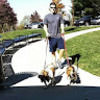 matthew_julian
